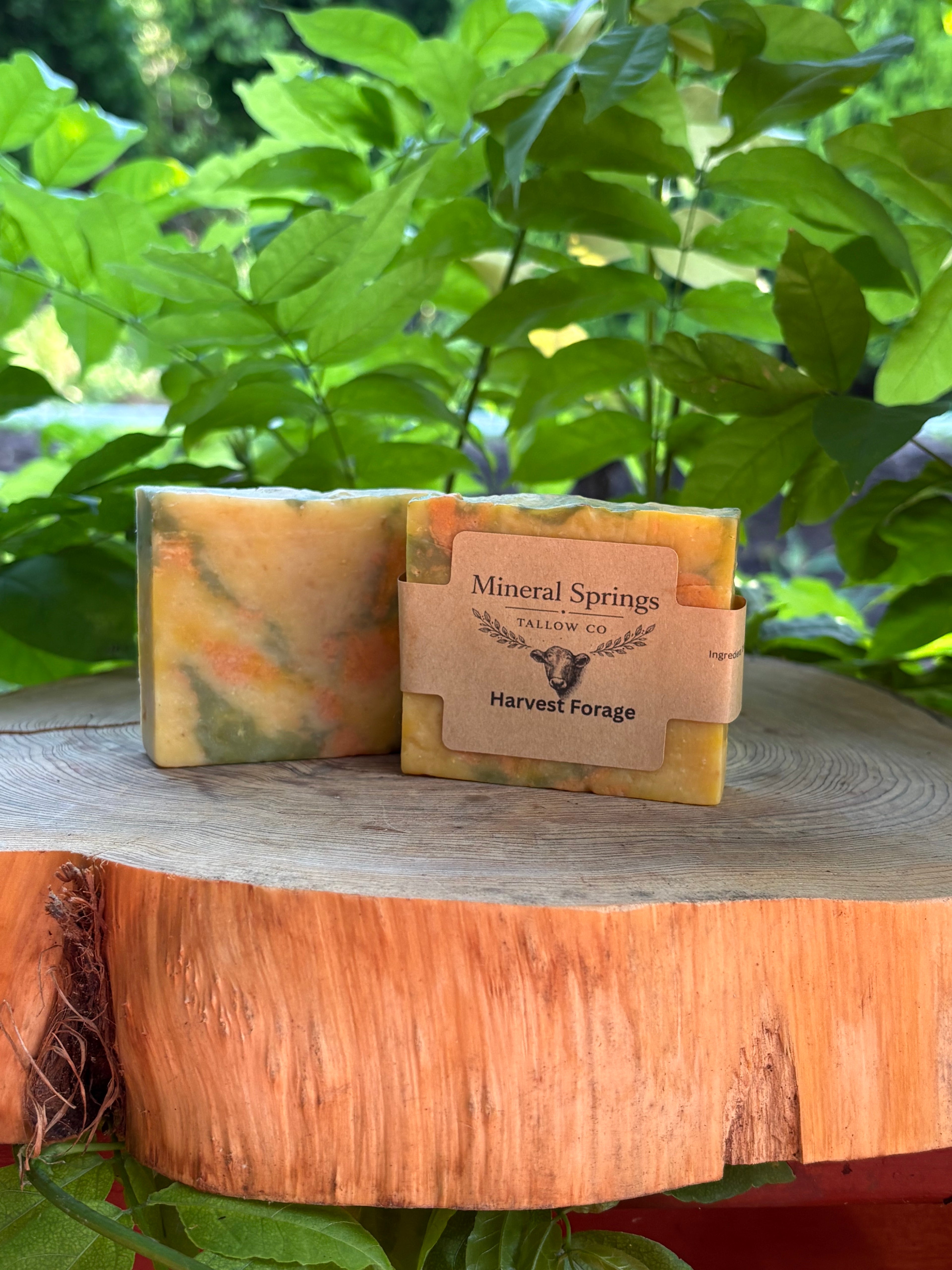 Tallow Soap