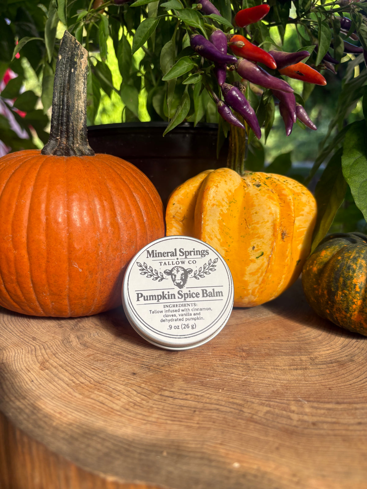 Pumpkin Spice Balm